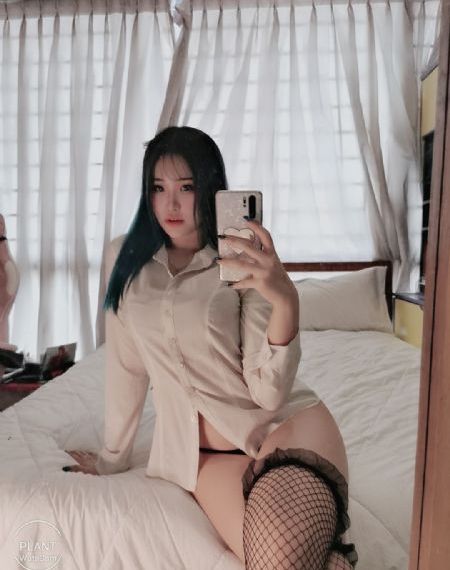 璩美凤dvd在线播放