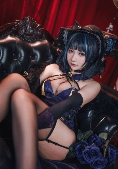 法国啄木乌系列56部