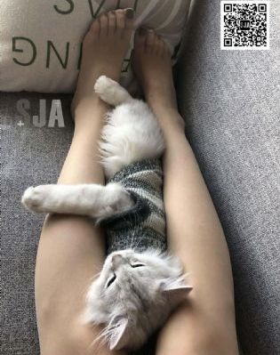 好姑娘七