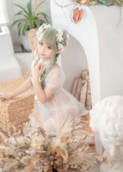 花与蛇之孵化篇