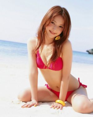 山河同在电视剧