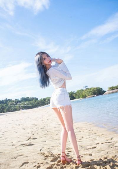 我的翻译官全集免费观看高清