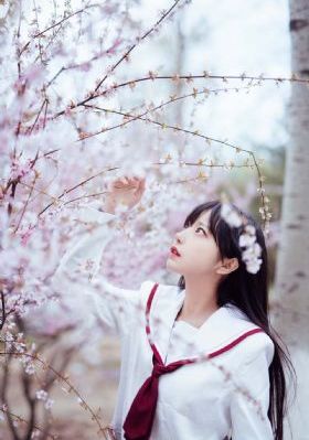 无颜之月1到5集动漫